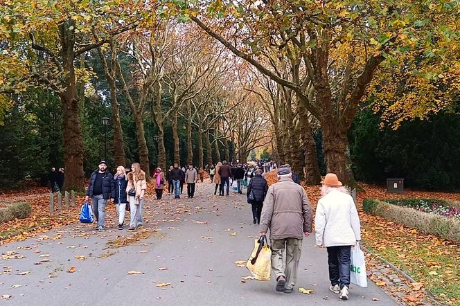 1 listopada na Cmentarzu Centralnym w Szczecinie