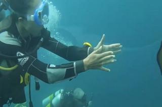 Omenaa Mensah nurkuje w Indonezji, zobacz kogo spotkała pod wodą