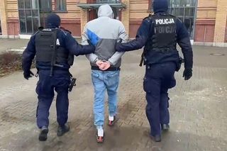 Aresztowani, którzy porwali i pobili strusia Zenka