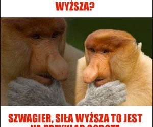 Memy na Dzień Szwagra 