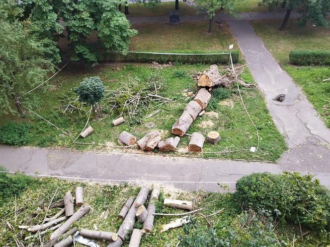 Wielkie drzewo runęło im na blok. „Widziałam, jak na mnie leci!”