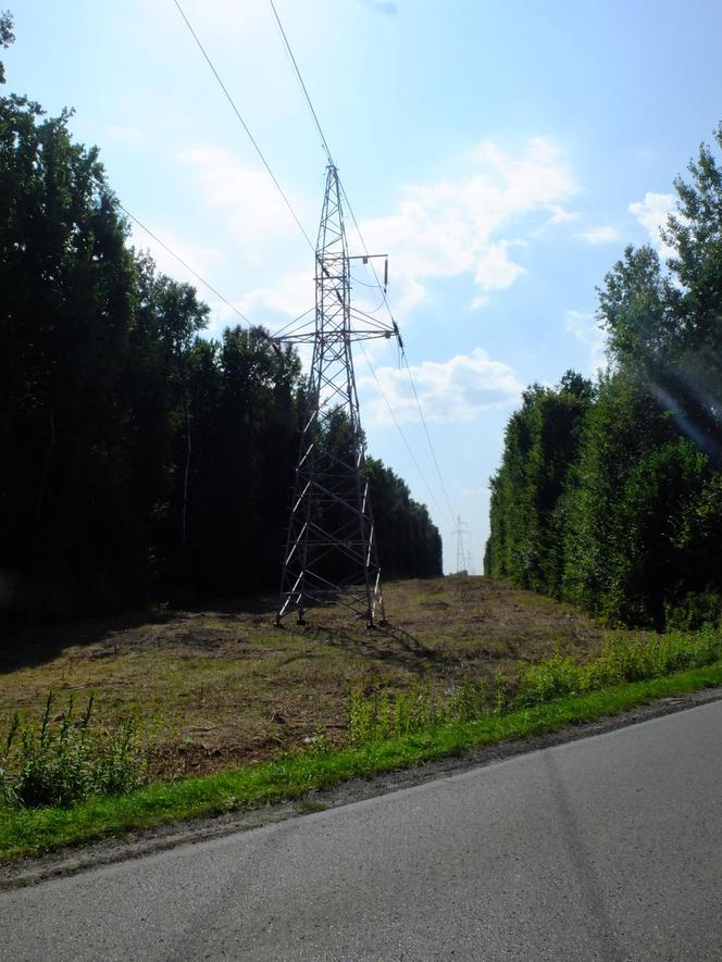 Zabójstwo kobiety we wsi pod Lublinem. Ciało znalazł syn