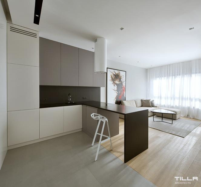 Mieszkanie / 45 m2 / Concept House zdjecie 1