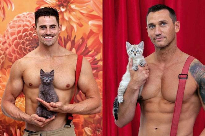 Seksowni strażacy z małymi... kotkami. Te zdjęcia są hitem internetu! 