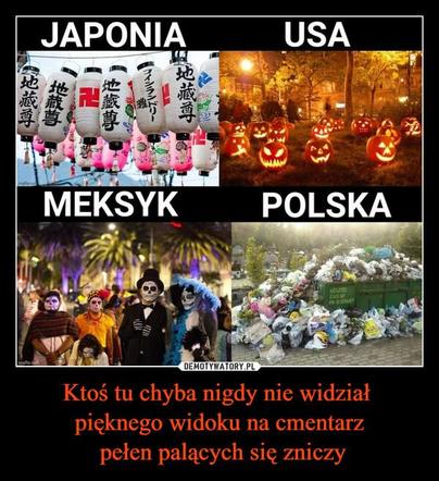 Tak się śmieją z Polski i Polaków! TOP 40 najśmieszniejszych memów