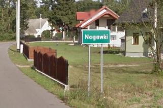 Nogawki (pow. ostrołęcki)