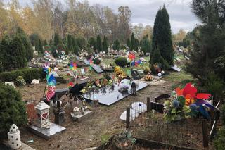 Cmentarze dla zwierząt w Koniku Nowym. Wszyscy, których znam mówią, że zwierzęta zasługują na dużo więcej miłości i dobroci, ponieważ są lepsi od ludzi widać to teraz