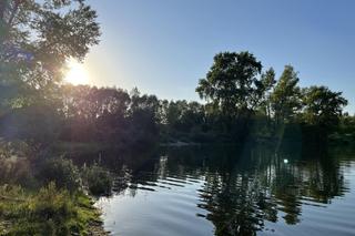 Wyjątkowe miejsce w Poznaniu. Staw Młyński i użytek ekologiczny Łęgi Potoku Różanego