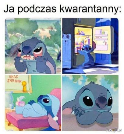 Memy o kwarantannie