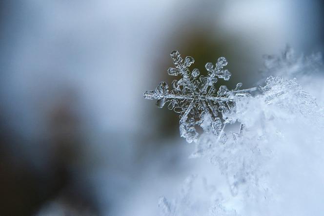 Jaka będzie pogoda na święta w Olsztynie? Czy na Boże Narodzenie 2019 spadnie śnieg?