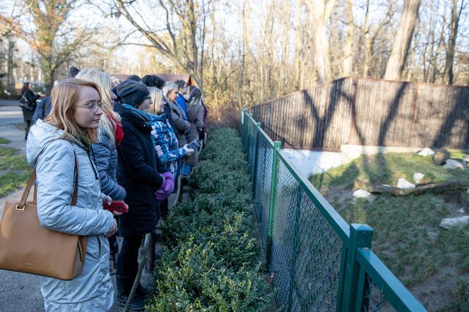 Posłanki i posłowie z wizytą w Zoo