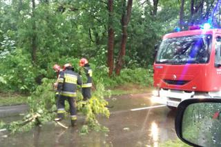 Burza nad Śląskiem zbiera żniwo. Połamane drzewa i braki w dostawie prądu [ZDJĘCIA, WIDEO]