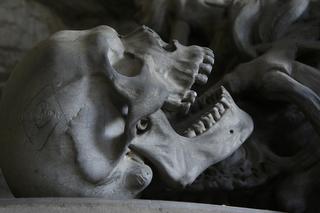 Tajemnicze odkrycie na Dolnym Śląsku! Ludzkie kości znalezione w kartonie w urzędzie