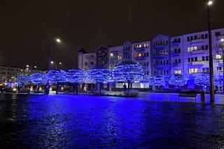 Świąteczny blask w Gorzowie Wielkopolskim