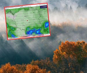 Pogoda w listopadzie zaskoczy! Do Polski nadchodzi potężny wyż i dużo ciepła. Nawet do 17 st. C