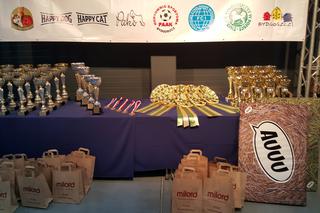 Międzynarodowa Wystawa Psów Rasowych w Bydgoszczy