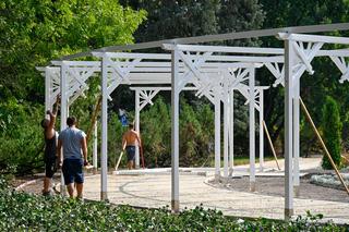 Ogród różany na Plantach w Białymstoku