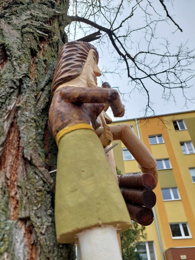 Na bydgoskich drzewach zawisły drewniane rzeźby ptaków i grajków. To pomysł mieszkańca