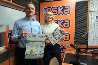 Festiwal Vitae Valor Tarnów 2025: Oscarowe hity, koncerty i warsztaty 