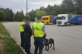 Gigantyczny przemyt kokainy