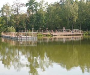 Park Leśny Tetmajera w Bronowicach