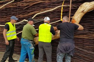 Największy wiklinowy kosz w trakcie renowacji w 2020 roku