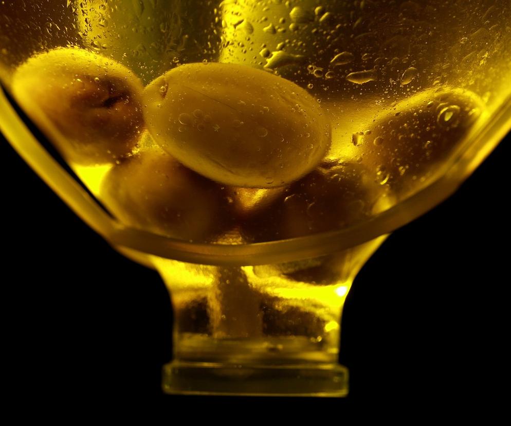 W Europie zabranie oliwy z oliwek? Wszystko przez suszę i pożary w Grecji 