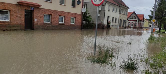 Tolkmicko i Suchaczew zalane [ZDJĘCIA]