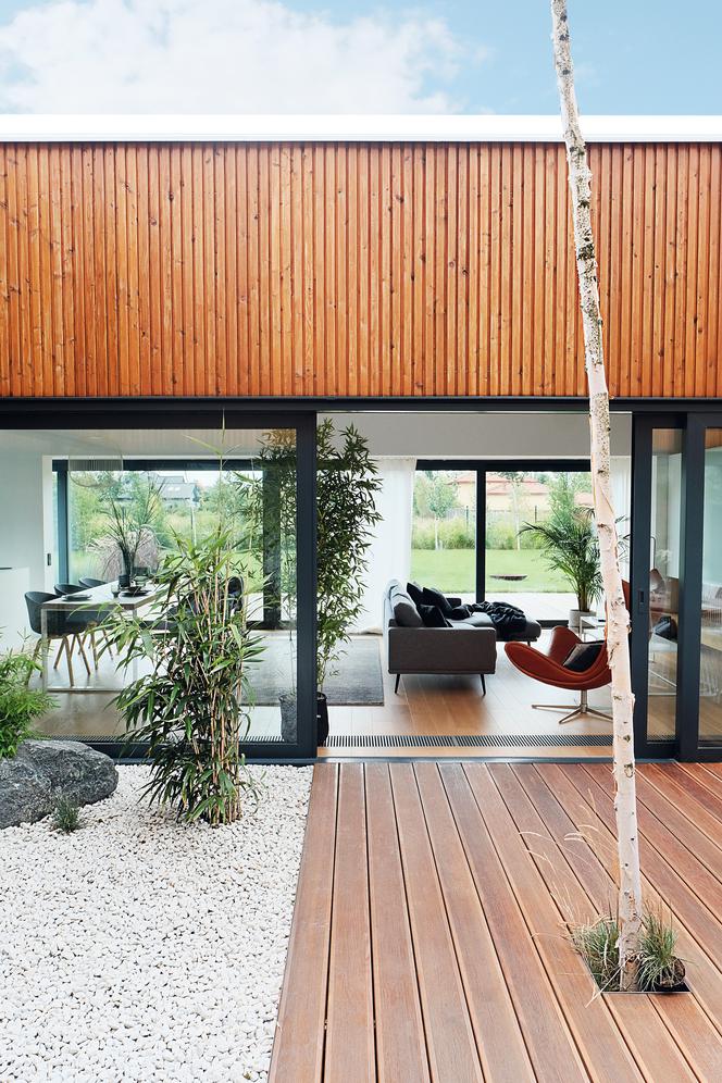 Mrowiec, Łomianki, Moomoo