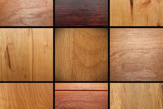Kolory drewna danego gatunku GALERIA ZDJĘĆ