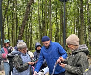 Park Leśny na Oksywiu, Gdynia