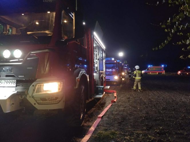  Zajączkowice. Kobieta zginęła w pożarze domu [ZDJĘCIA]