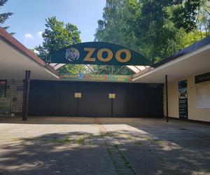 Stare Zoo