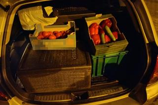 Wygłodniali złodzieje wpadli na gorącym uczynku. Ich łupem padły pomidory, łopatka wieprzowa i musztard