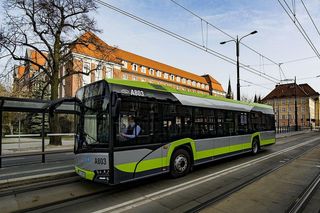 Burza wokół linii nr 116 w Olsztynie. Czy połączenie powróci?