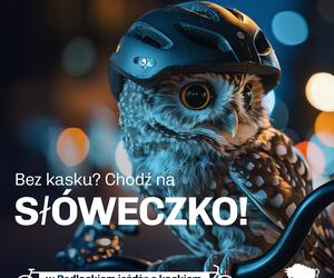 Podlaskie zwierzaki ponownie zachęcają do noszenia kasku