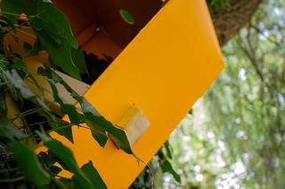 Druga nagroda przyznana ex aequo, Patryk Prsyk