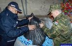 W akcję zbiórki nakrętek dla Poli włączyli się żołnierze wojsk NATO