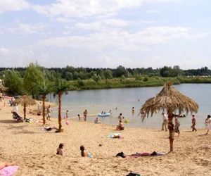 Akwen Tropicana w Owińskach 