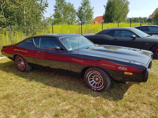 Eska Summer City Olsztyn! Stylizacja, oklejanie, detailing i super samochody