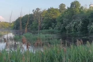 M jak miłość. ślub Marcina