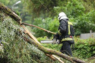 Wichury nad Polską. W Łodzi drzewo spadło na 61-letnią rowerzystkę. Kobieta zmarła