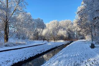 Dolina Gęśnika w Zielonej Górze w styczniu 2023 r.