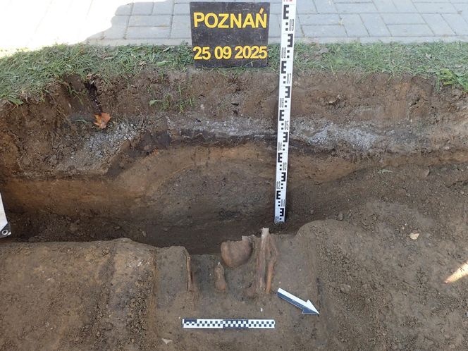 Ludzkie szczątki przy wydziale UAM