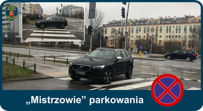 Mistrzowie parkowania. Tak kierowcy parkują w Warszawie