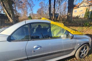 Dawid to człowiek-demolka. Wybijał szyby w samochodach i budynkach