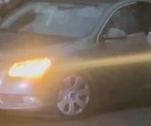 Przejechali mu psa oplem. Zabili moją Sunię