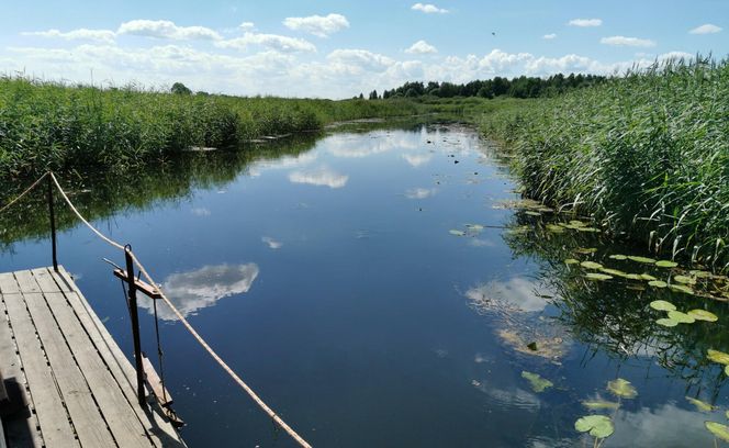 Biebrzanski Park Narodowy 