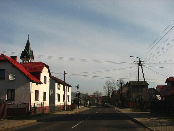 Cisiec