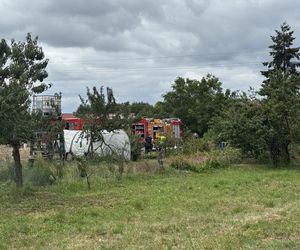 Wypadek awionetki w Krzycku Wielkim